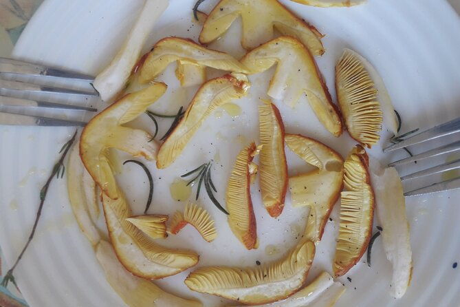 half-day-gastronomic-wild-walk-in-girona-2