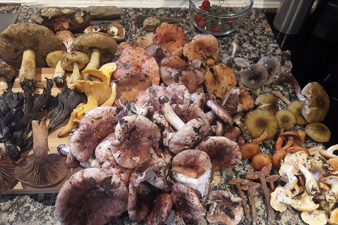 half-day-gastronomic-wild-walk-in-girona-3