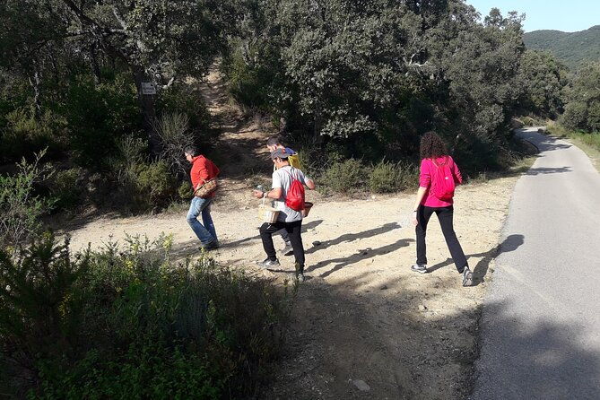 half-day-gastronomic-wild-walk-in-girona-4