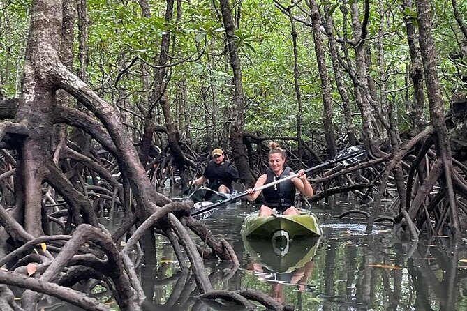Half-Day Geopark Mangrove Kayaking Adventure - Key Points