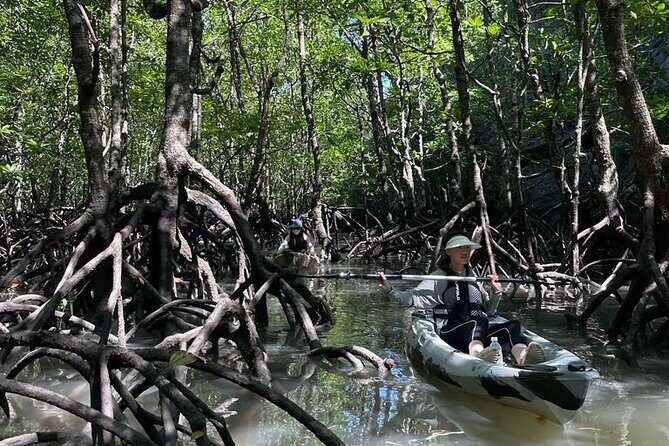 Half-Day Geopark Mangrove Kayaking Adventure - Frequently Asked Questions