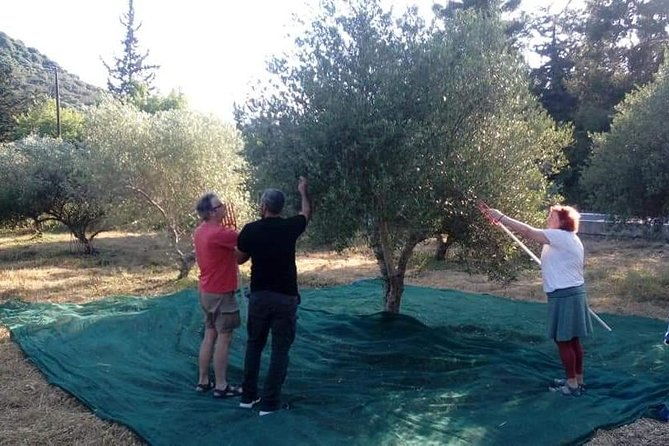 half-day-georgioupolis-off-road-adventure-with-meal