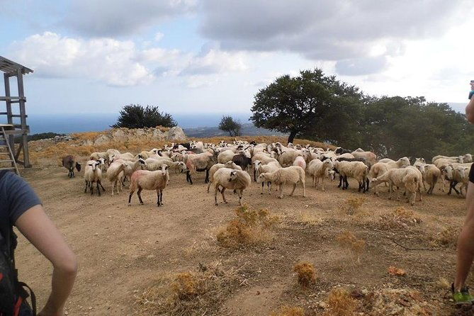 half-day-georgioupolis-off-road-adventure-with-meal