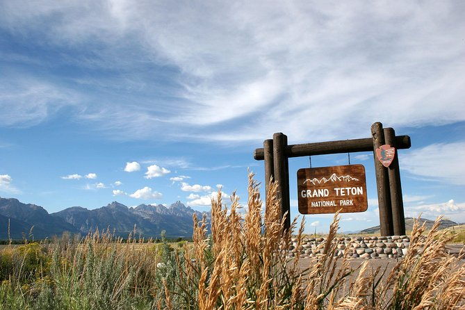 half-day-grand-teton-wildlife-safari-private-tour