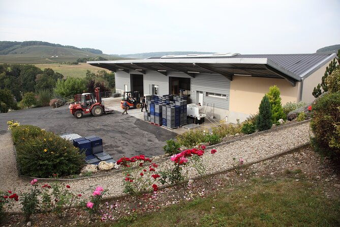 half-day-grape-harvest-experience-with-tasting-in-epernay