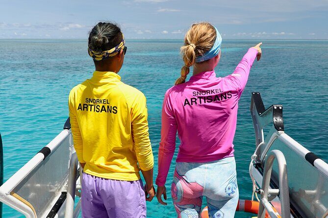 Half Day Great Barrier Reef Snorkeling Tour - Authentic Experiences from Reviewers