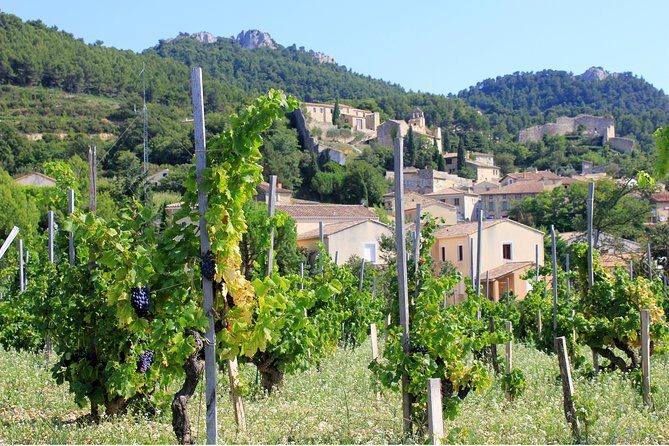 Half Day Great Vineyard Tour from Avignon - Introduction: Why This Tour Catches Our Eye