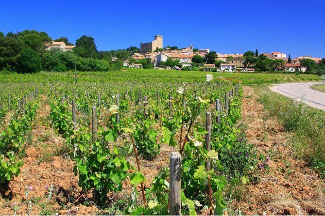 Half Day Great Vineyard Tour from Avignon - Practical Tips for Travelers