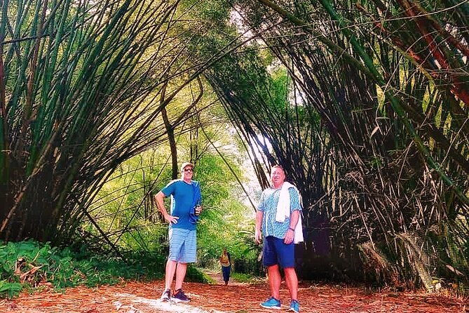 half-day-group-tour-to-tobago-atlantic-coast