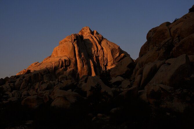 Half-Day Guided Hike in Joshua Tree National Park - FAQs
