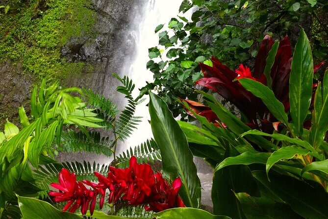 Half-Day Guided Hike to Afareaitu Waterfall - The Route: A Closer Look at the Itinerary