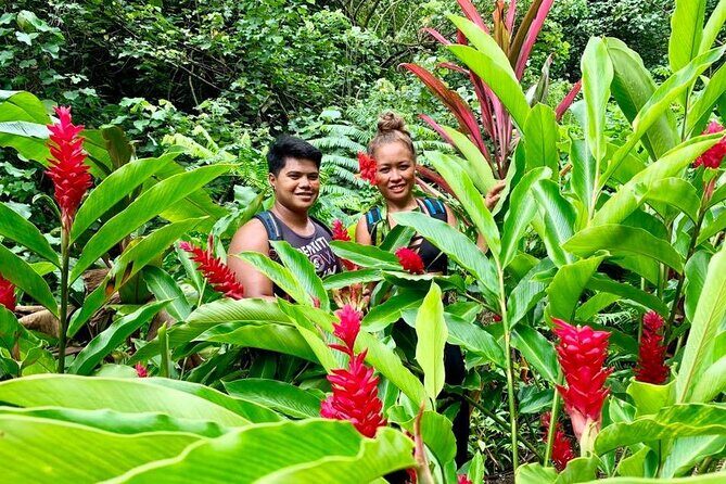 Half-Day Guided Hike to Afareaitu Waterfall - Practical Tips & Considerations