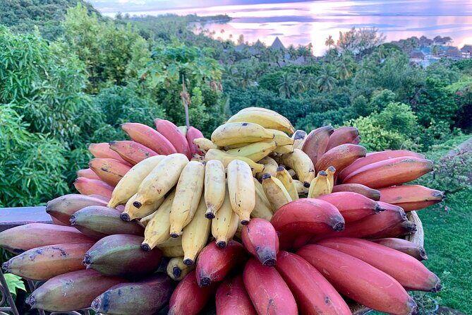 Half-Day Guided Hike to Afareaitu Waterfall - Final Thoughts