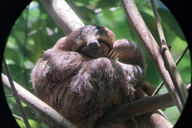 half-day-guided-hiking-at-manuel-antonio-national-park
