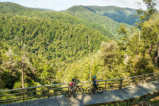 Half Day Guided Mountain Biking Adventure in Nelson - Who Will Love This Tour?