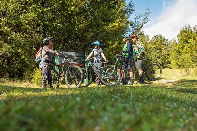 Half Day Guided Mountain Biking Adventure in Nelson - The Logistics: Booking & Practical Details
