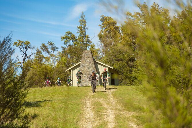 Half Day Guided Mountain Biking Adventure in Nelson - Authentic Experiences & Tips from Reviewers