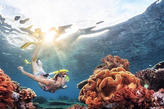 Half Day Guided Snorkeling in Negombo - Authentic Insights from Previous Participants