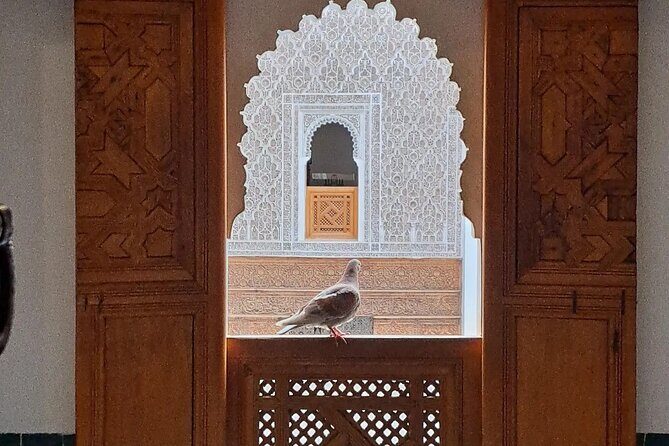 Half Day Guided Tour in Marrakech History & Culture - Practical Details and Experience Quality