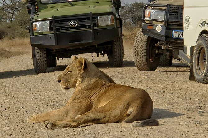 Half day guided tour in Nairobi National Park - Who Is This Tour Best For?