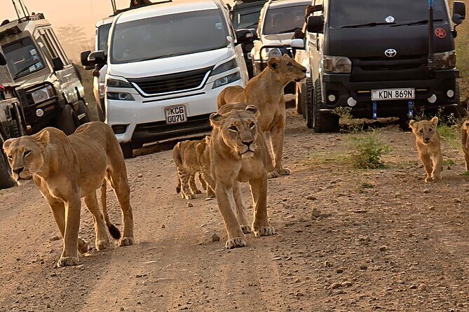 Half day guided tour in Nairobi National Park - FAQs