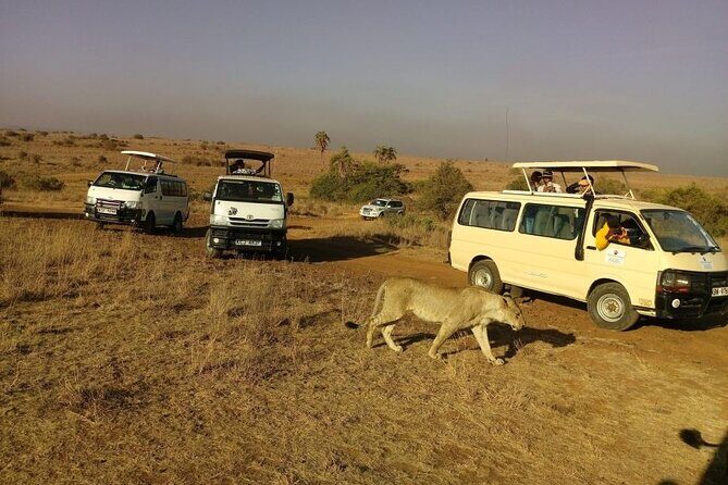Half Day Guided Tour in Nairobi National Park With 4*4 Vehicle - Exploring the Itinerary: What to Expect