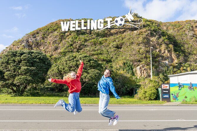 Half Day Guided Tour in Wellington including Cable Car - Who Is This Tour Best For?
