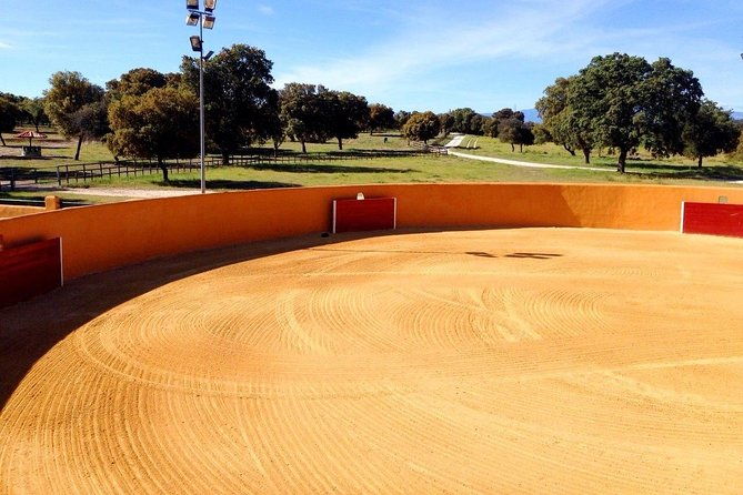 half-day-guided-tour-to-a-bull-farm-in-madrid