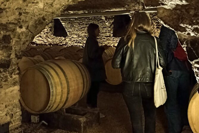 half-day-guided-tour-with-tasting-of-beaujolais-wines