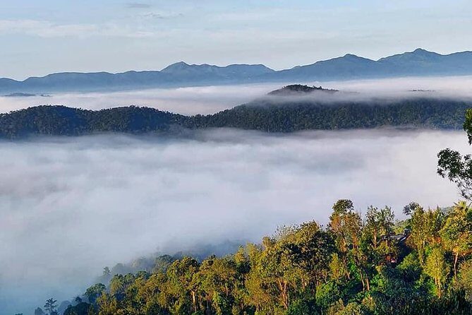 Half Day Guided Trek - FAQ