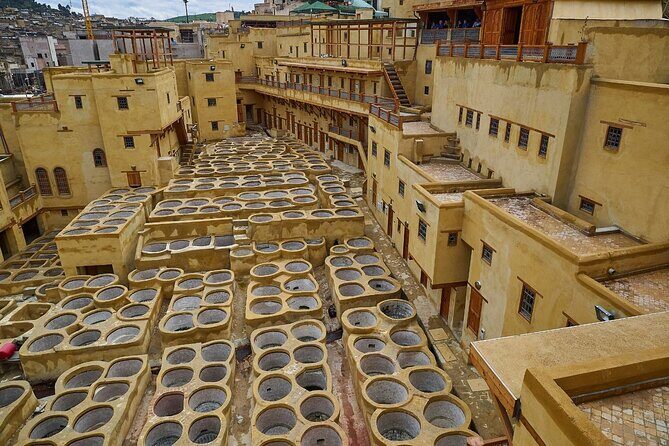 Half Day Guided Walking Tour in the Medina of Fez - Chouara Tannery: An Ancient Industry
