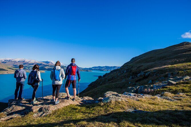 Half Day Guided Walking Tour on Banks Peninsula - Who Is This Tour For?  