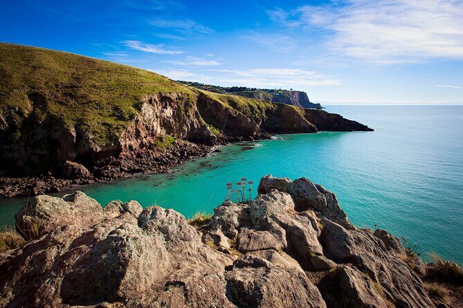 Half Day Guided Walking Tour on Banks Peninsula - The Sum Up: Who Should Book?
