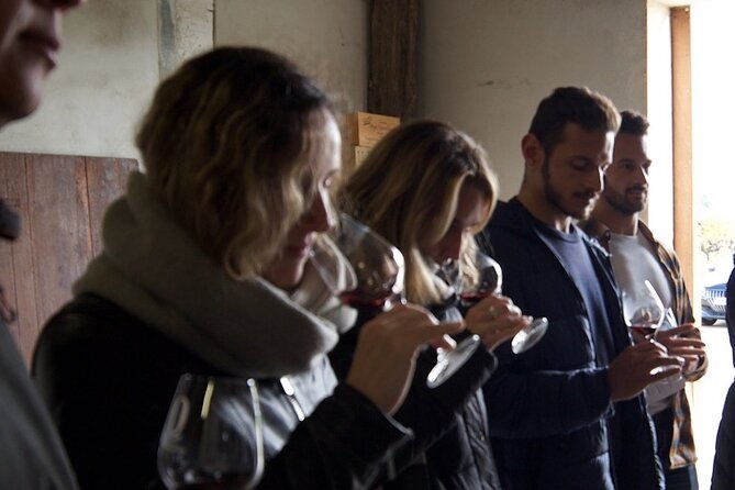 half-day-guided-wine-tasting-tour-in-bordeaux-vineyards-3