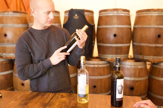 half-day-guided-wine-tasting-tour-in-bordeaux-vineyards