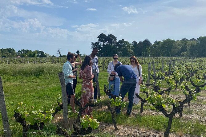 half-day-guided-wine-tasting-tour-in-bordeaux-vineyards