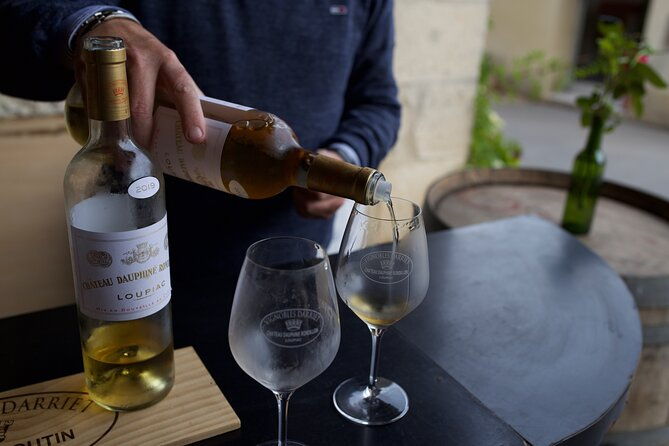 half-day-guided-wine-tasting-tour-in-bordeaux-vineyards