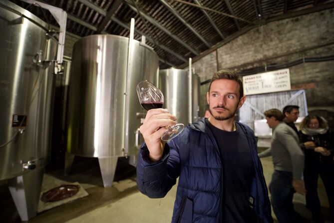 half-day-guided-wine-tasting-tour-in-bordeaux-vineyards