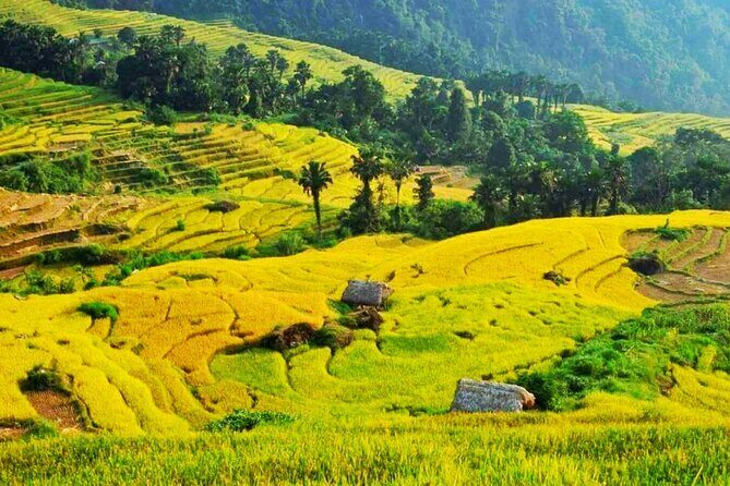 Half Day Ha Giang Jeep Tour: Rice Terrace + Waterfall + City - How the Tour Compares to Longer Adventures