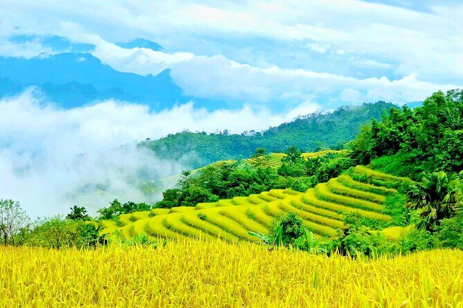 Half Day Ha Giang Jeep Tour: Rice Terrace + Waterfall + City - Final Thoughts: Who Will Love This?
