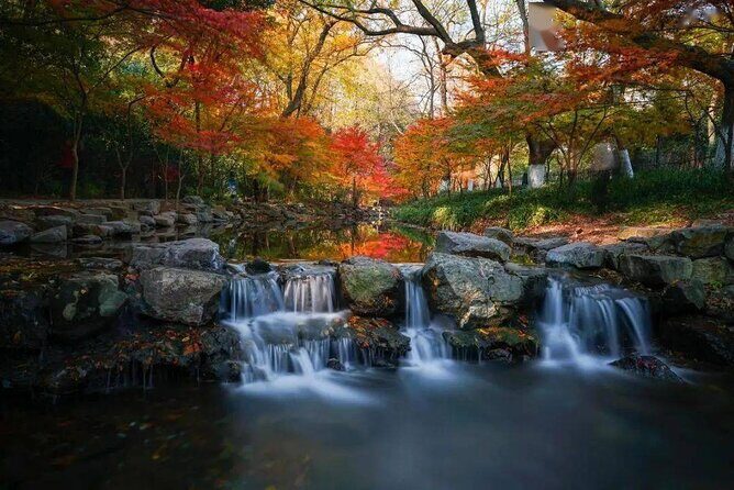 Half-Day Hangzhou Jiuxi Stream and Tea Plantation Experience - Who Is This Tour Best For?