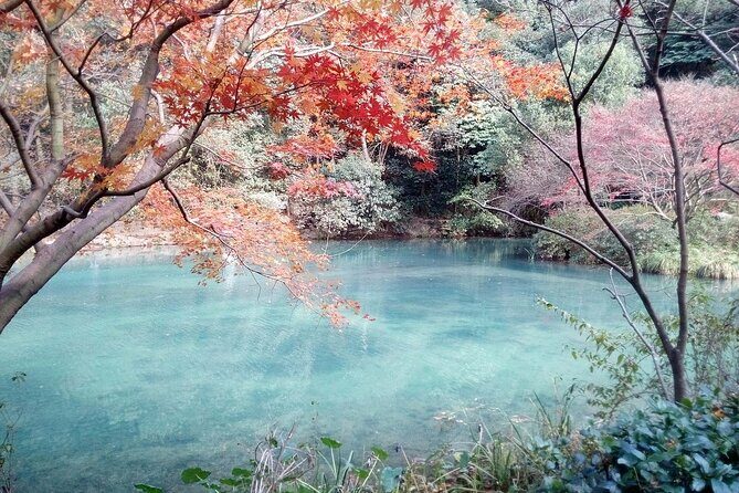 Half-Day Hangzhou Jiuxi Stream and Tea Plantation Experience - Final Thoughts