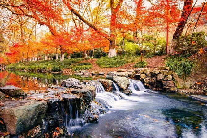 Half-Day Hangzhou Nine Creeks Hiking Tour with Tea Plantation Experience - Exploring the Half-Day Hangzhou Nine Creeks Hiking Tour with Tea Plantation Experience