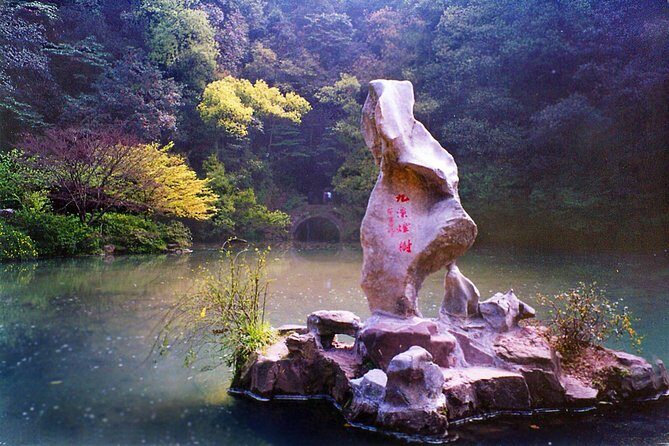 Half-Day Hangzhou Nine Creeks Hiking Tour with Tea Plantation Experience - Practical Tips for the Tour