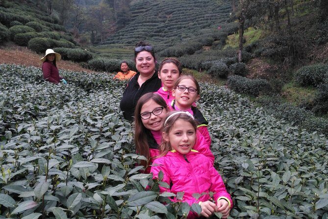 Half-Day Hangzhou Private Tour with Green Tea Village and Lingyin Temple - Practical Details That Matter