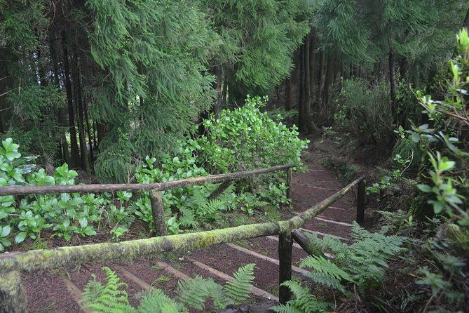 half-day-hike-serra-devassa-and-boca-do-inferno-sete-cidades