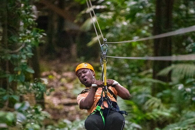 half-day-hiking-adventure-with-aerial-tram-zipline-in-st-lucia