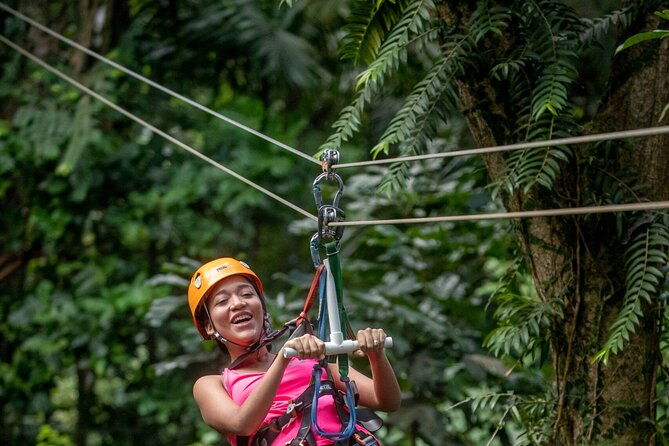 half-day-hiking-adventure-with-aerial-tram-zipline-in-st-lucia