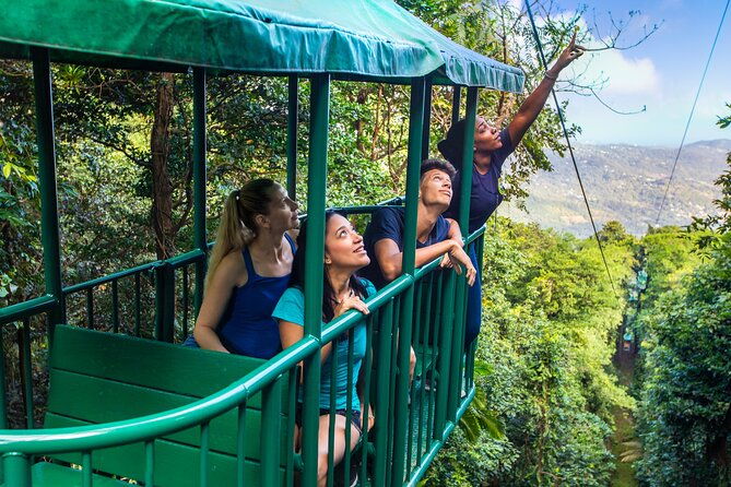 half-day-hiking-adventure-with-aerial-tram-zipline-in-st-lucia