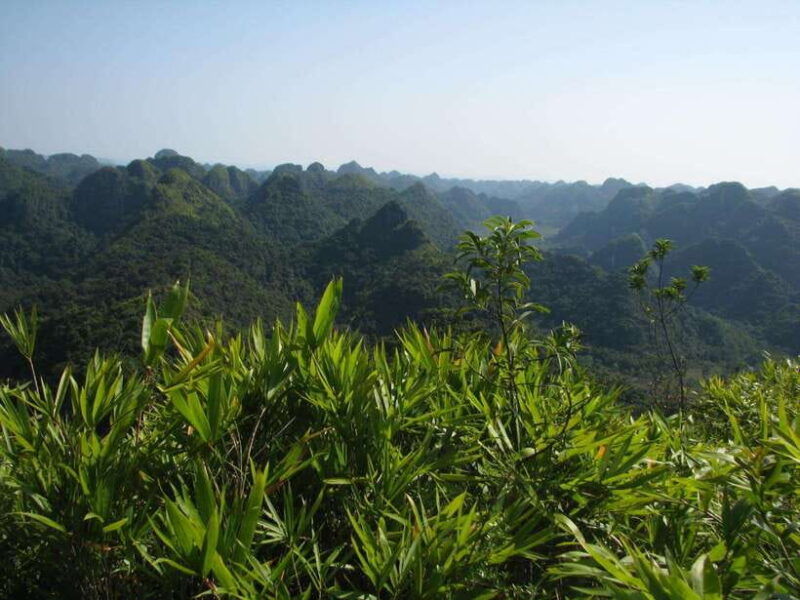 half-day-hiking-to-cat-ba-national-park-with-a-guide